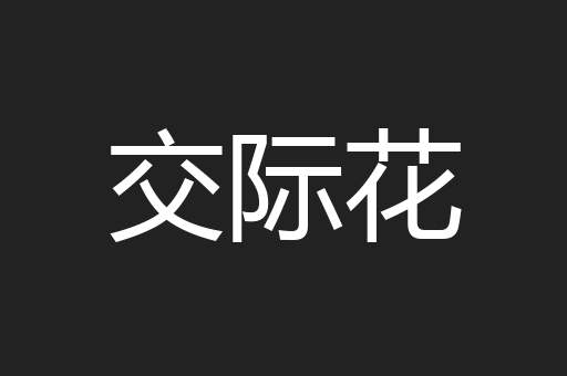 交际花
