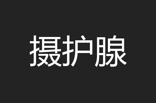 摄护腺