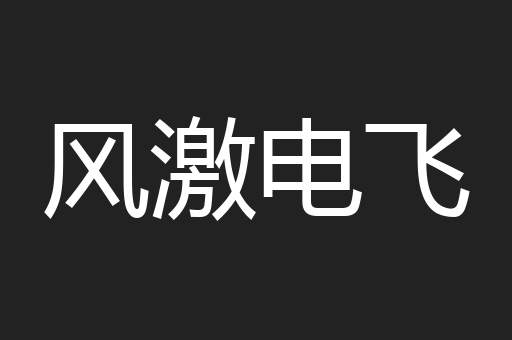 风激电飞
