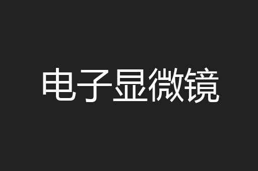 电子显微镜