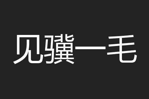 见骥一毛