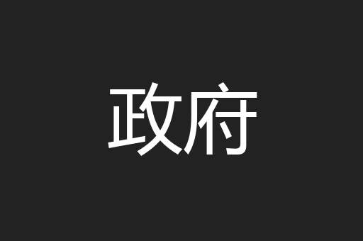 政府