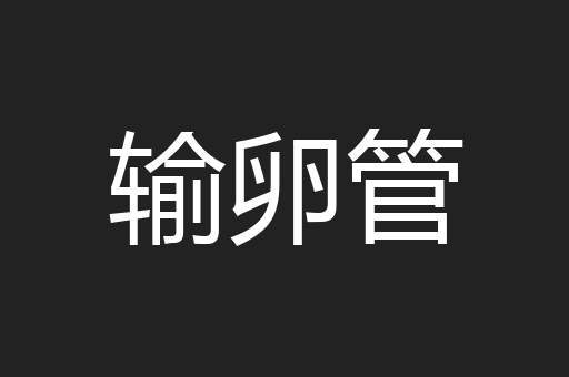 输卵管