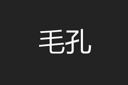 毛孔