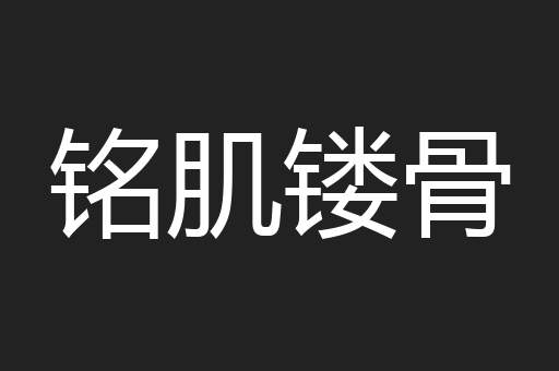 铭肌镂骨