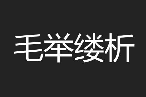 毛举缕析