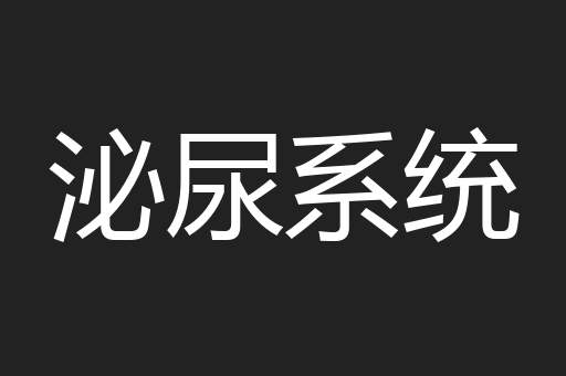 泌尿系统