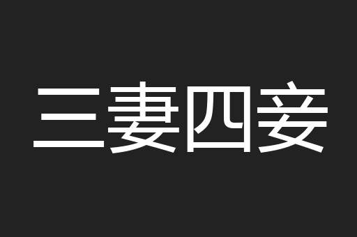 三妻四妾