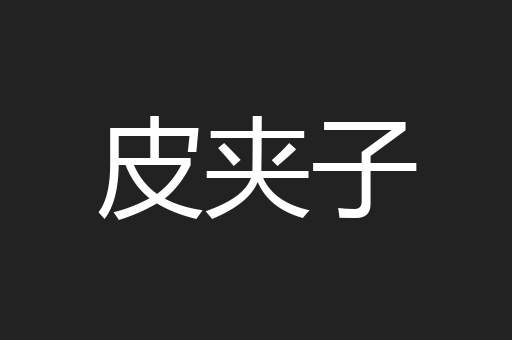 皮夹子