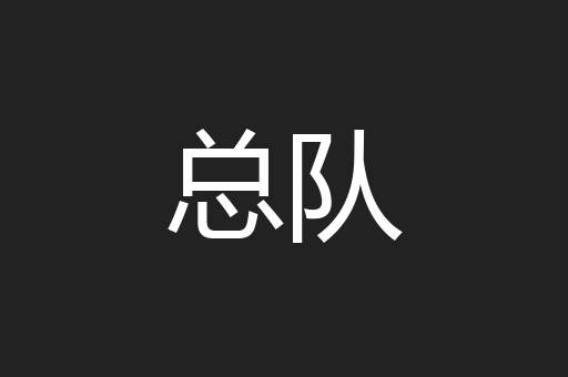 总队