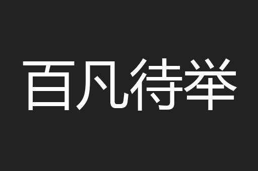 百凡待举