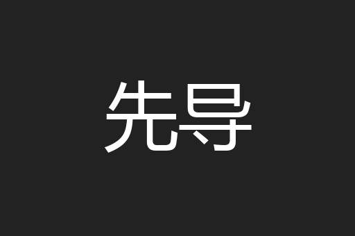 先导