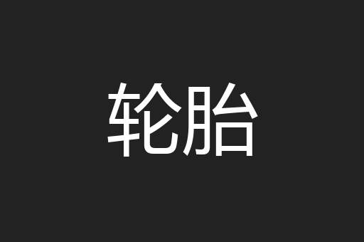 轮胎