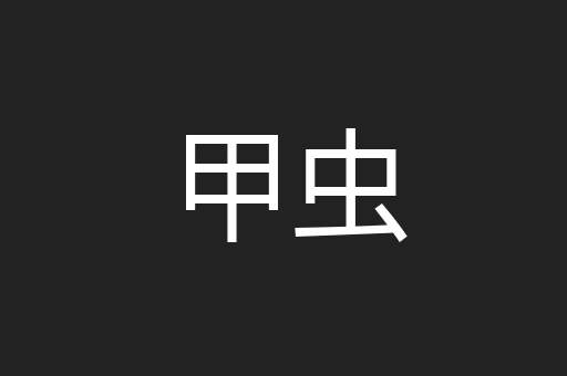 甲虫