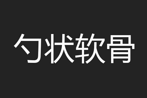 勺状软骨