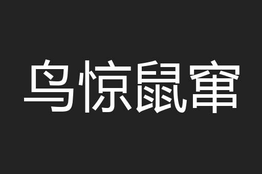 鸟惊鼠窜