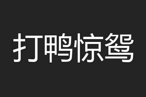 打鸭惊鸳