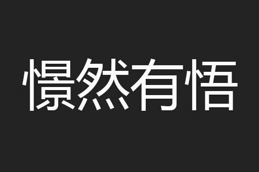 憬然有悟