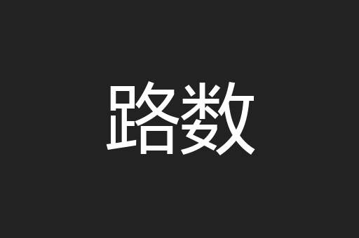 路数