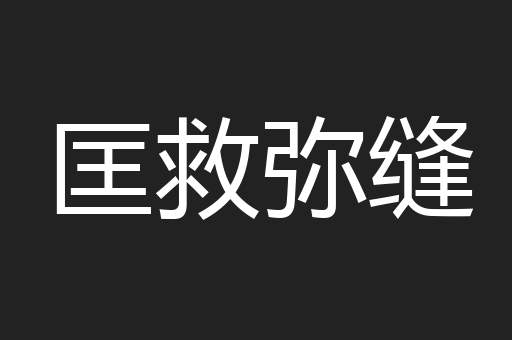匡救弥缝
