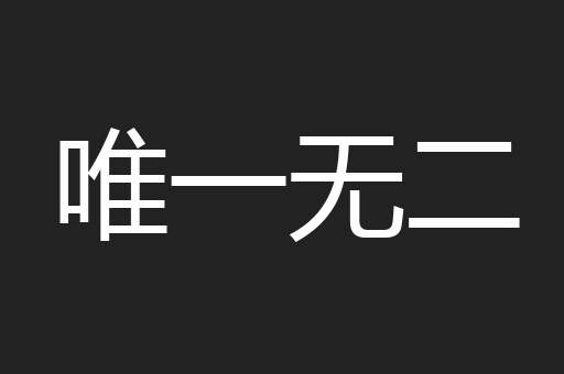 唯一无二