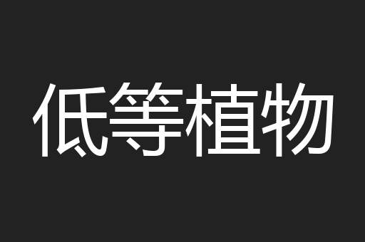 低等植物