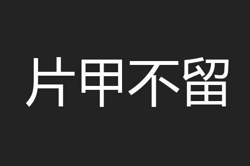 片甲不留