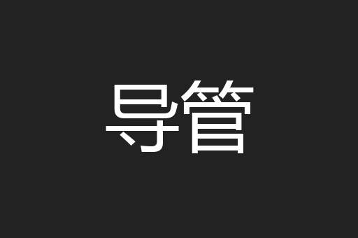 导管