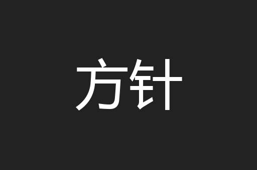 方针