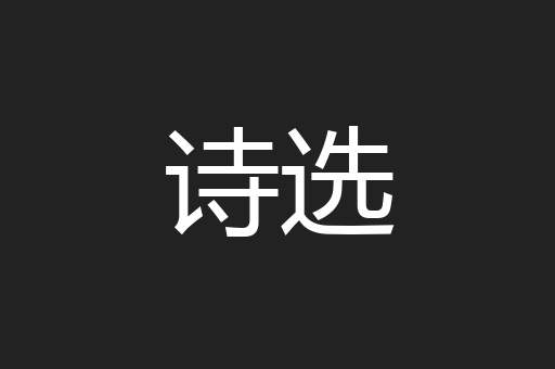 诗选