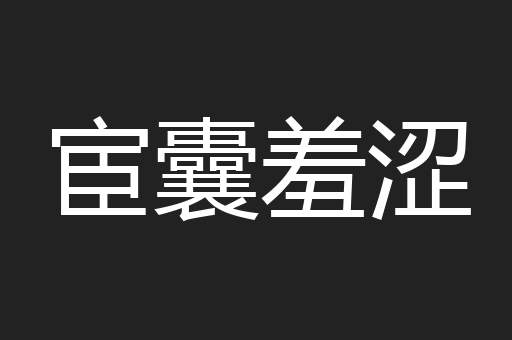 宦囊羞涩