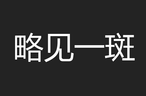 略见一斑