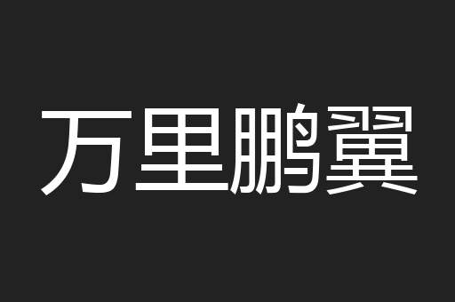 万里鹏翼