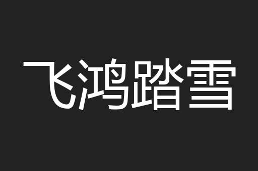 飞鸿踏雪