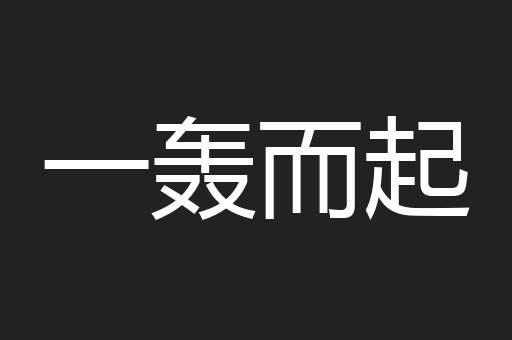 一轰而起