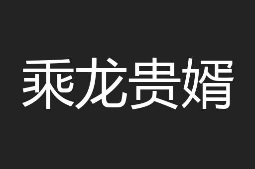 乘龙贵婿