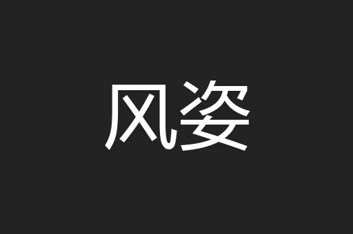 风姿
