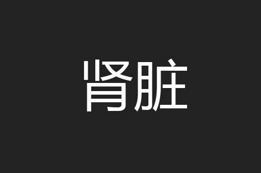 肾脏