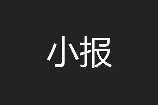 小报