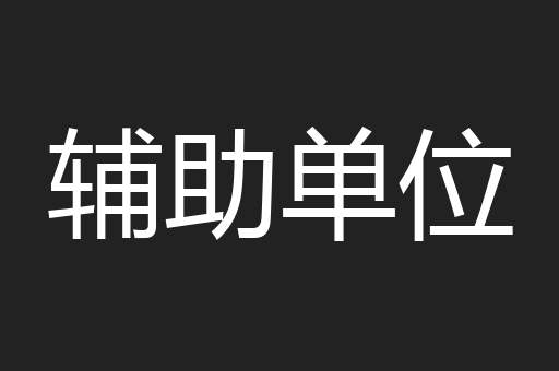 辅助单位