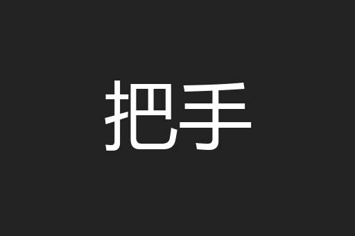 把手