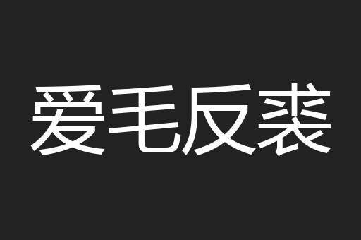 爱毛反裘