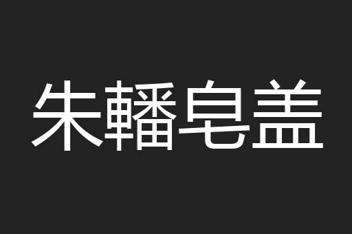 朱轓皂盖