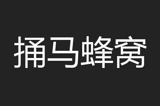 捅马蜂窝
