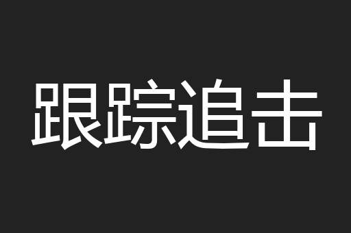 跟踪追击
