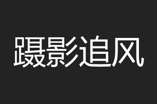 蹑影追风