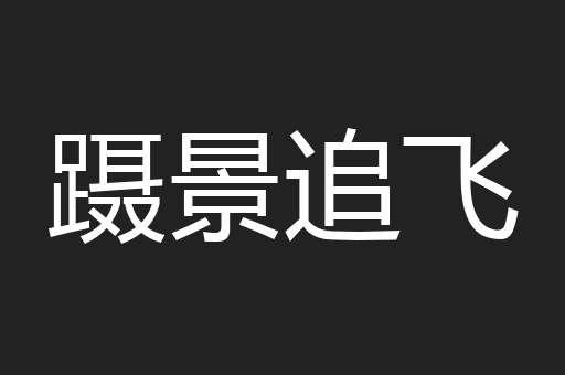 蹑景追飞