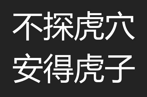 不探虎穴安得虎子