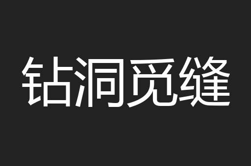 钻洞觅缝