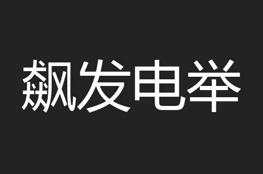 飙发电举